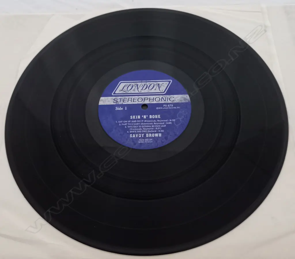 Savoy Brown, Skin 'N' Bone Image 1++